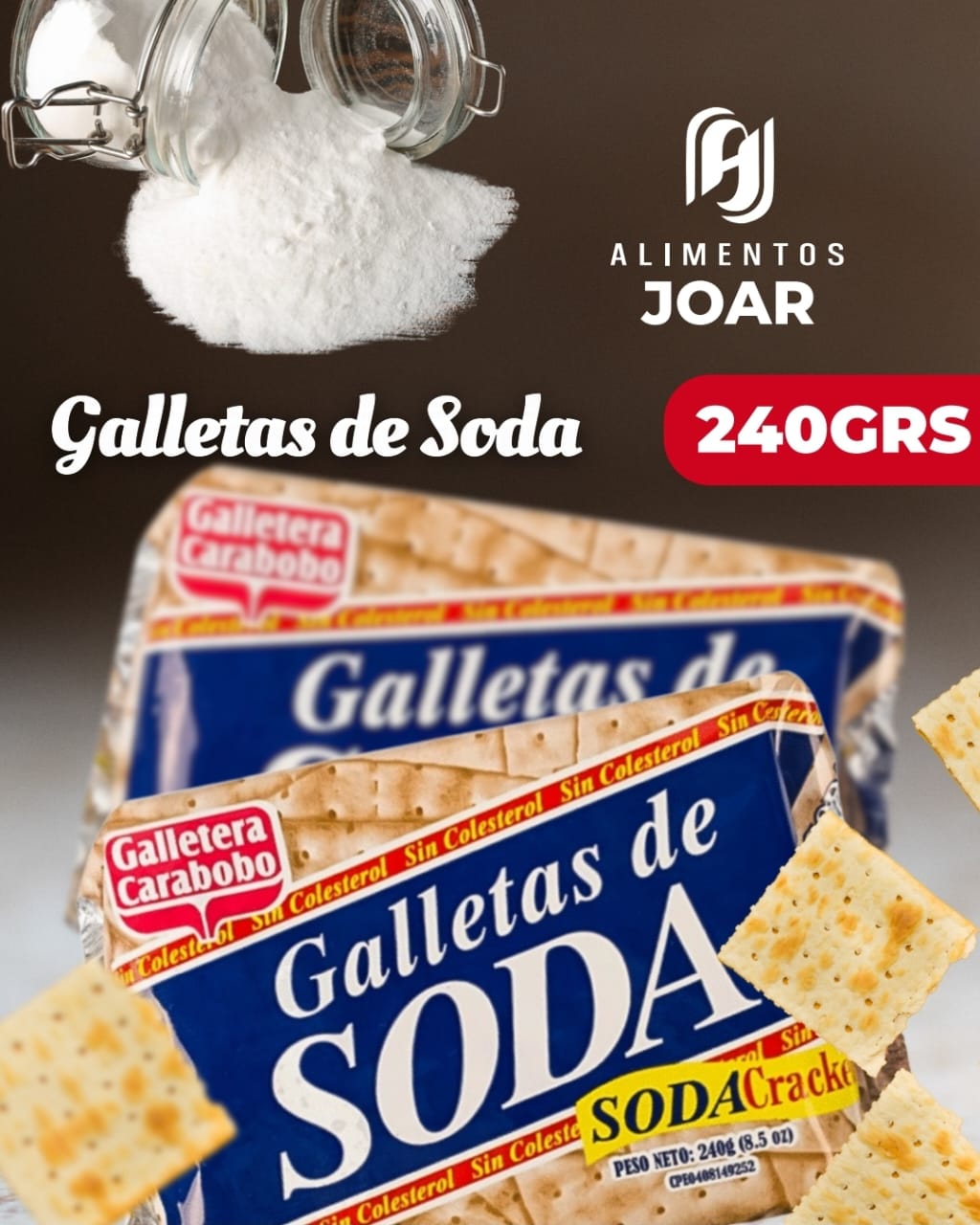 Galletas de Soda 240 g